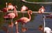 314zoos