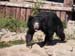 324zoos
